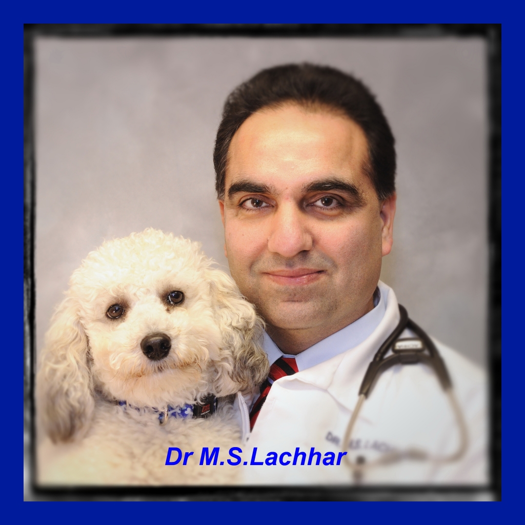 Dr. Mandip S. Lachhar