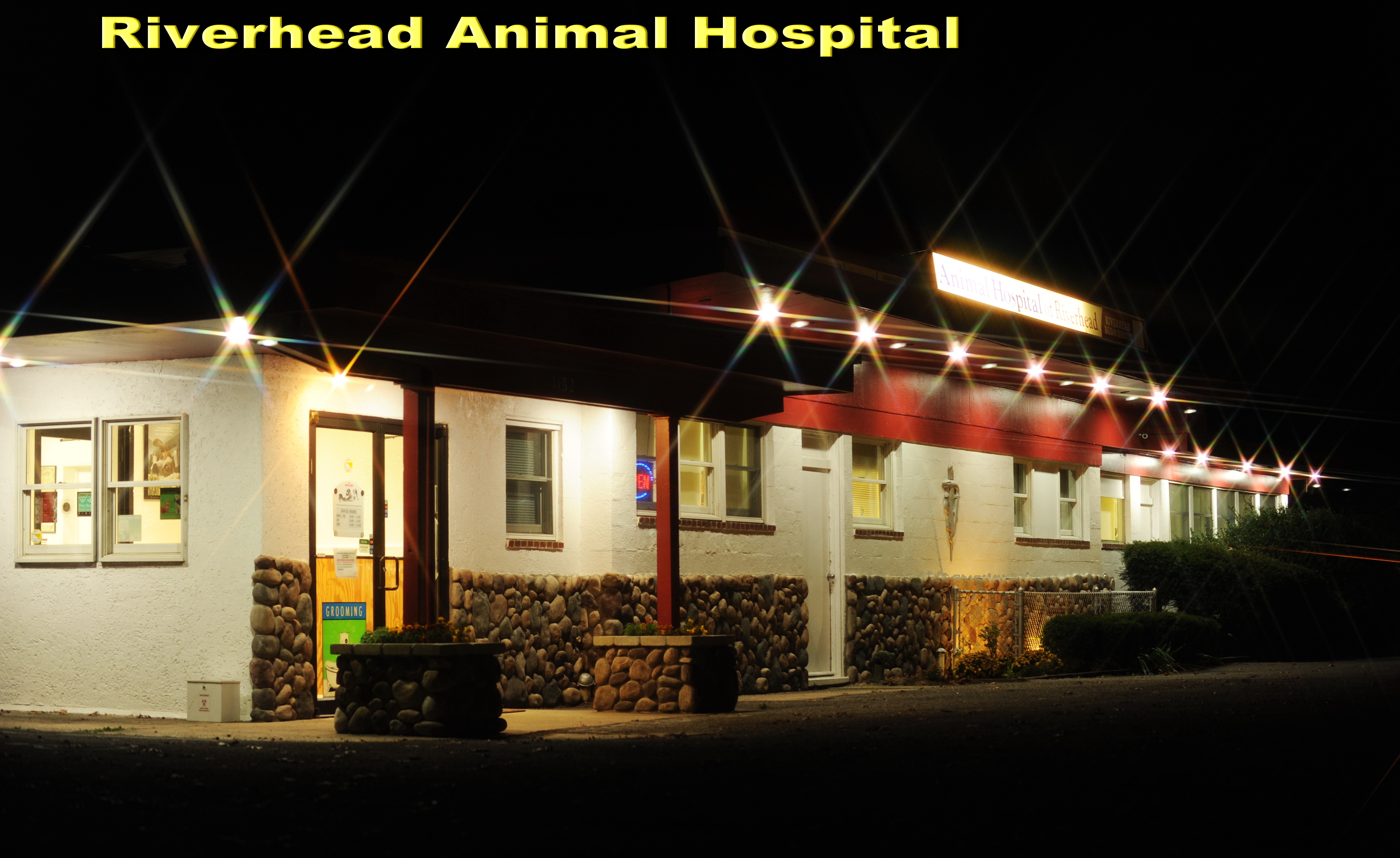 Riverhead Animal Hospital