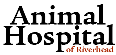 ANIMAL HOSPITAL OF RIVERHEAD Logo