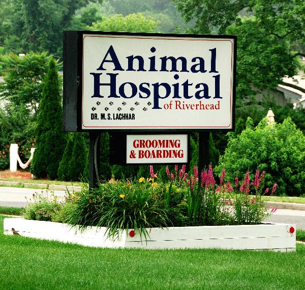 Animal Hospital Of Riverhead - Home